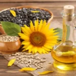 Extracto de semilla de girasol