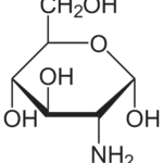 GLUCOSAMINA