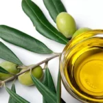 Olive Leaf
