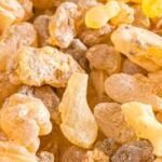 BOSWELLIA SERRATA
